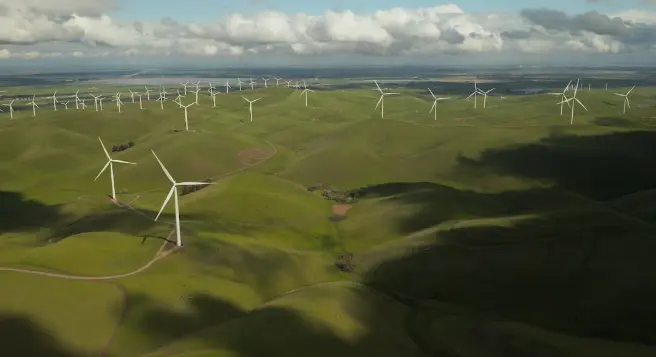 Carbon Neutrality