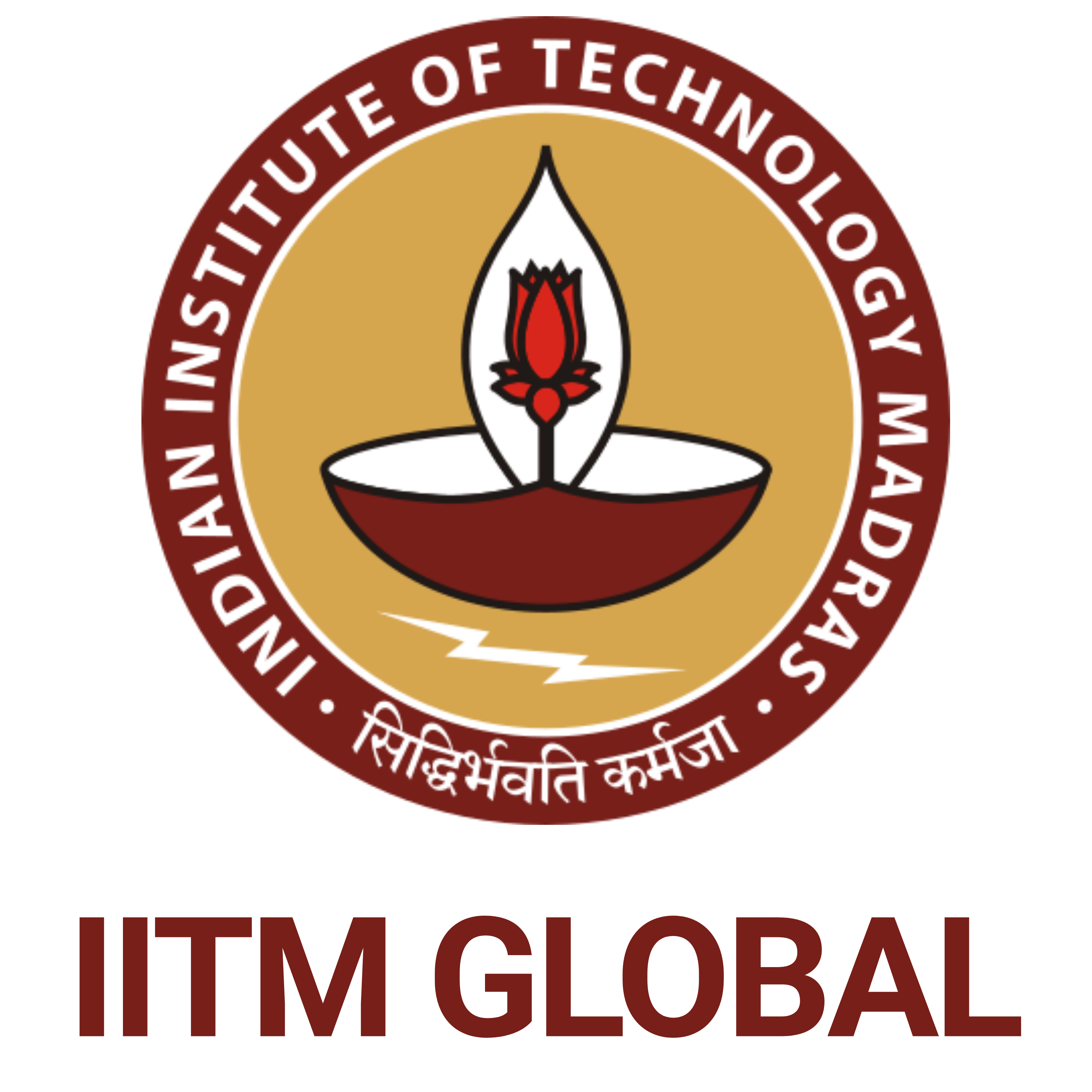 IITM Global logo